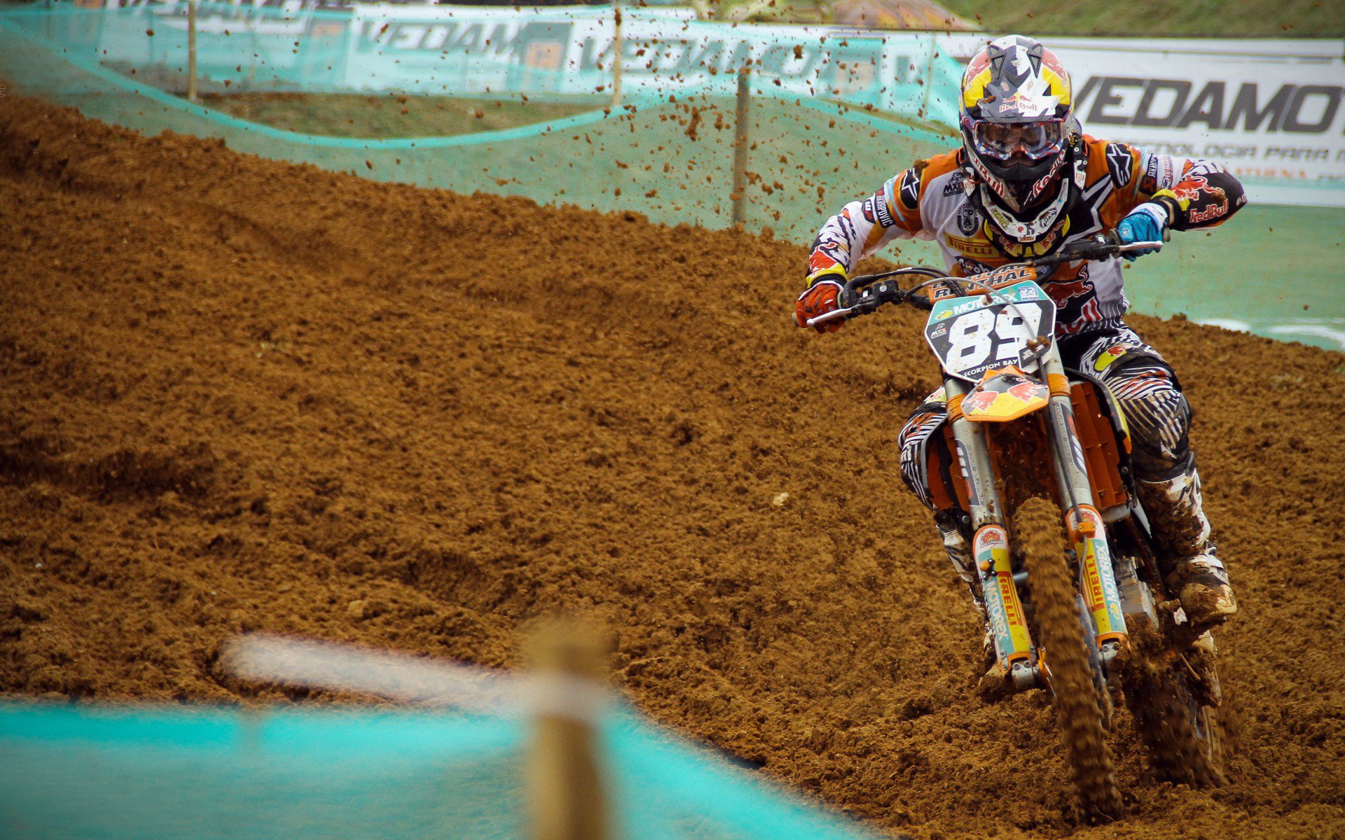 “新加坡见证泳池奇迹!2025世界游泳锦标赛极限挑战开启”